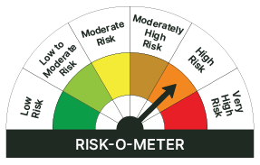 Benchmark Risk-o-Meter