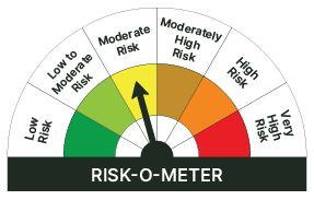 Benchmark Risk-o-Meter